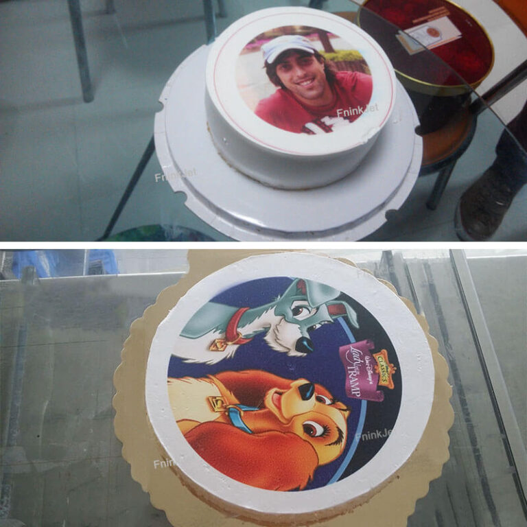 Excellent Direct To Cake Printing Edible Food Printer 3 Models FninkJet